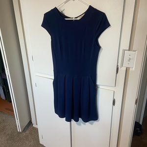 Black Swan fit and flare dress (POCKETS!!!)